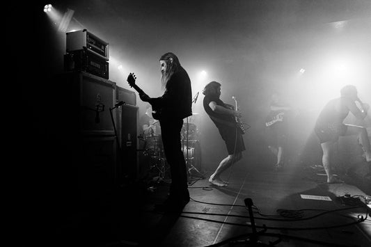 Pigs Pigs Pigs Pigs Pigs Pigs Pigs are heading to South America